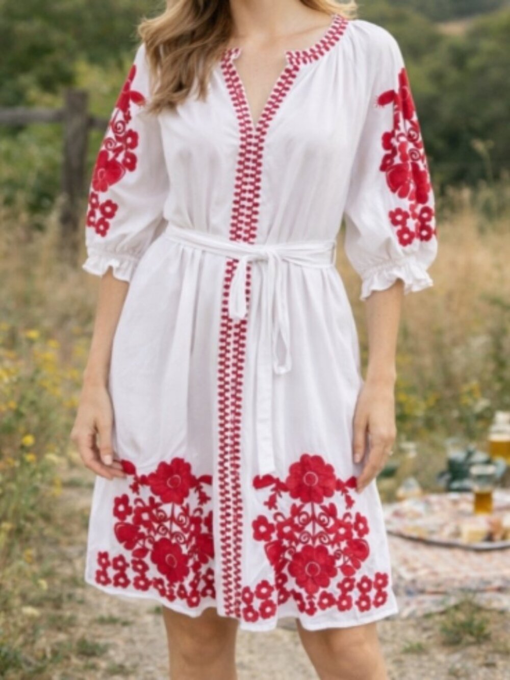 Julia Armory 100% Coatue Mademoiselle Embroidered Dress XXL NWT